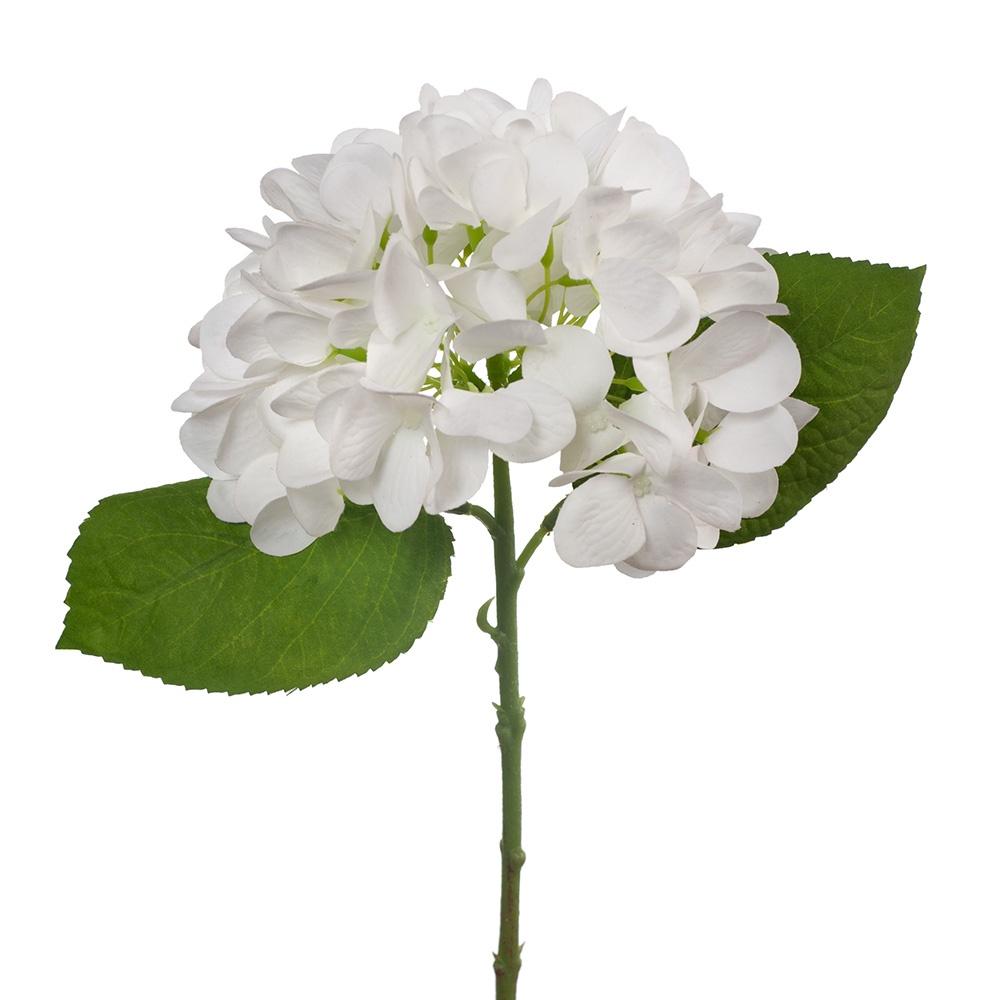 Hydrangea white sm – Esperance Luxe Floral & Home Co.